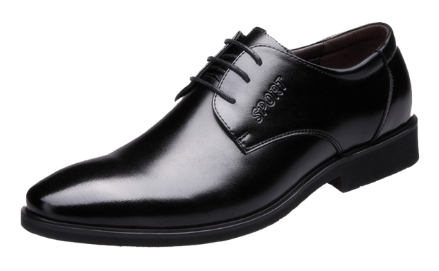 Black Leather Shoe